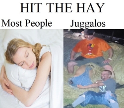 HAY.jpg