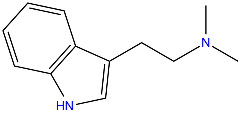 DMT.png