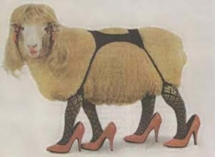 CanadianPromQueen.jpg CanadianPromQueen.jpg