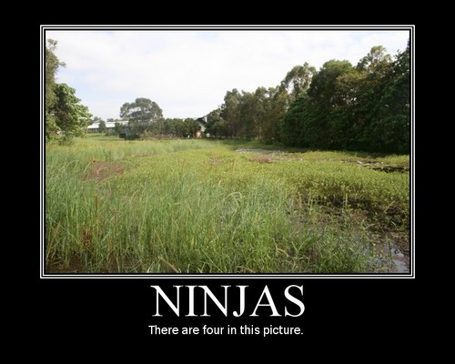 ninja-hiding.jpg ninja-hiding.jpg