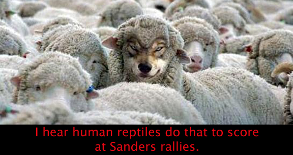 SandersRally.jpg