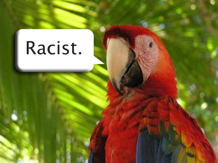 parrot.jpg