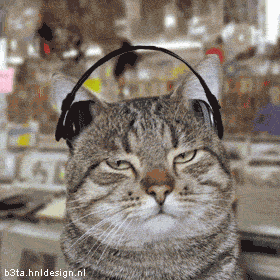 Cheshyr.gif Cheshyr.gif