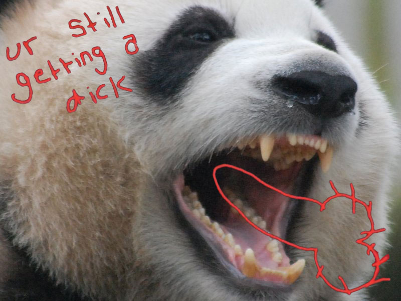 Dick.jpg Dick.jpg