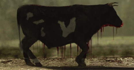 Bloody-beef.gif