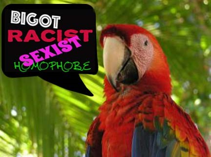 parrot.jpg