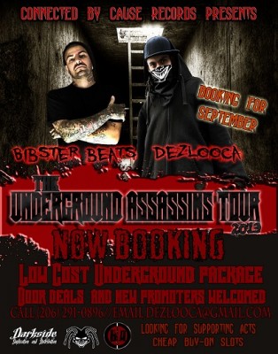 bibster tour promow
