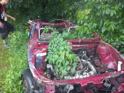 Theifs_Car_Remains